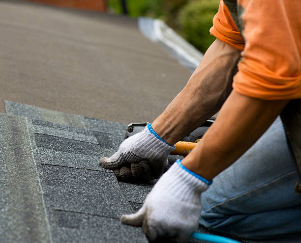 Best Roof Gutter Cleaning  in Rome, IL