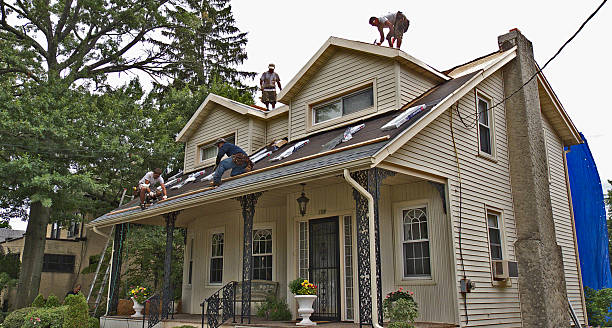 Best Storm Damage Roof Repair  in Rome, IL