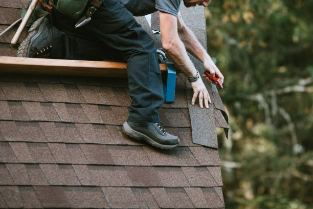 Best Metal Roofing Contractor  in Rome, IL