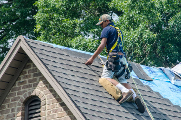 Best Commercial Roof Installation  in Rome, IL
